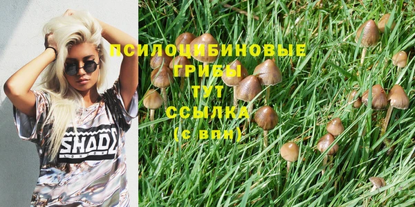 скорость Каменногорск