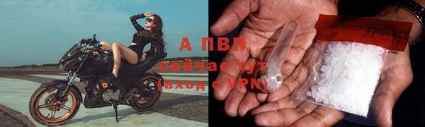 МДПВ Каменка