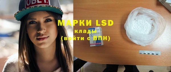 МДПВ Каменка