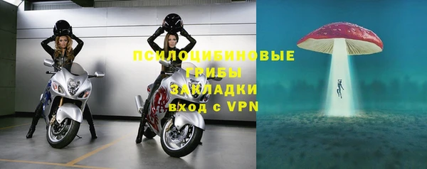 МДПВ Каменка