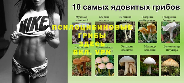 mdpv Каменск-Шахтинский