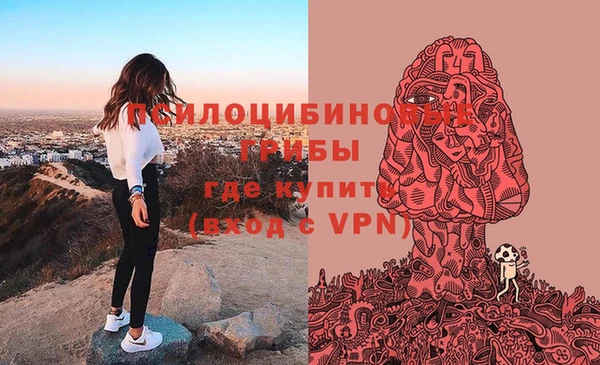 МДПВ Каменка