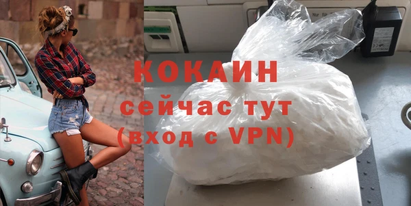МДПВ Каменка