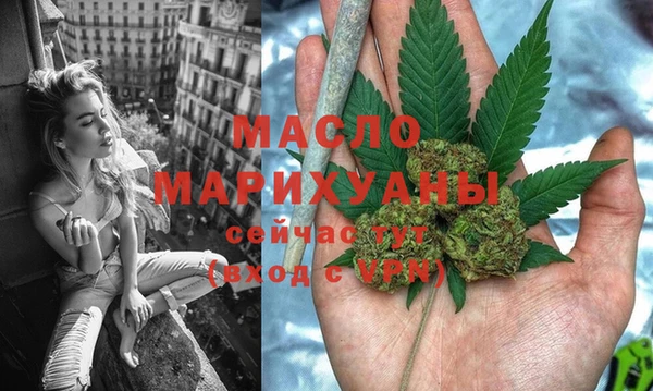 МДПВ Каменка