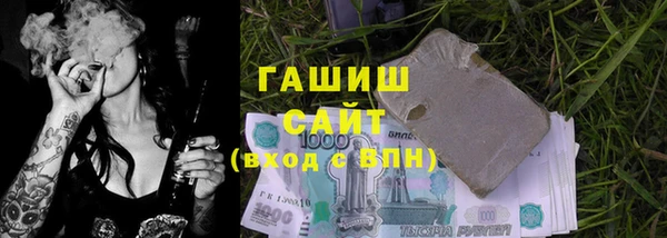 МДПВ Каменка
