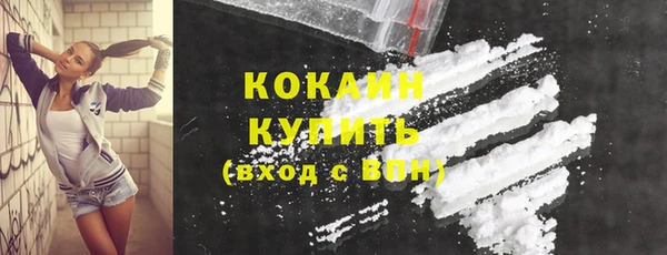 МДПВ Каменка