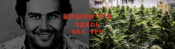 mdpv Каменск-Шахтинский