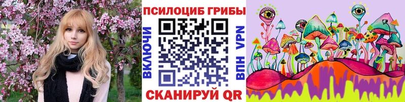 Купить закладки Калтан Псилоцибиновые грибы MAGIC MUSHROOMS